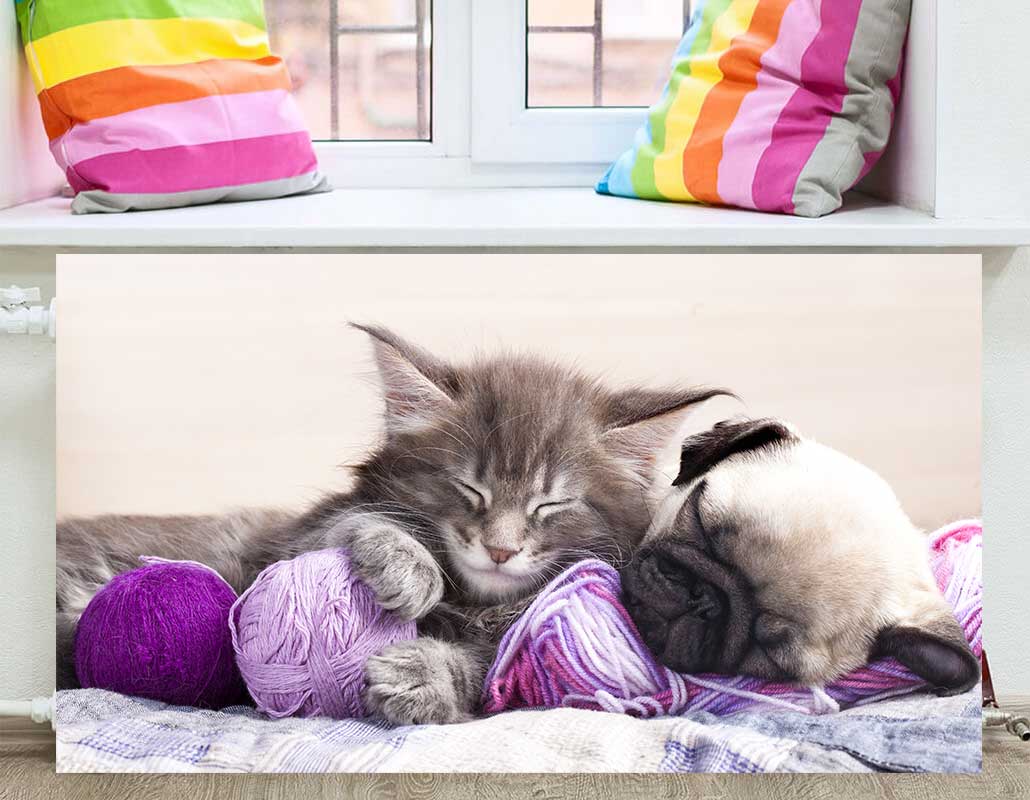 Включи экран спать. Сонный котенок на коврике для мышки. Сонный котенок в лотке. Светильник со спящим котиком.